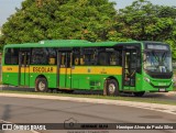 Transportes Capellini 12379 na cidade de Paulínia, São Paulo, Brasil, por Henrique Alves de Paula Silva. Número da foto: #12958433.