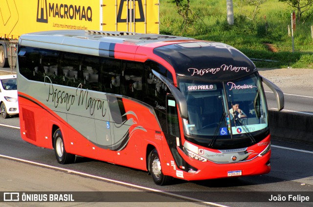 Empresa de Ônibus Pássaro Marron 5501 na cidade de Canas, São Paulo, Brasil, por João Felipe. Número da foto: #12962034.