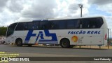 Falcão Real 3805 na cidade de Santa Bárbara, Bahia, Brasil, por Jacó Gebosky. Número da foto: #12959591.