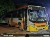 Ônibus Particulares EX TRANSCEL na cidade de Regeneração, Piauí, Brasil, por Otto Danger. Número da foto: #12960075.