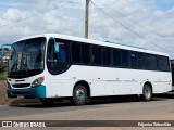 Ônibus Particulares 0993 na cidade de Paudalho, Pernambuco, Brasil, por Edjunior Sebastião. Número da foto: #12960197.