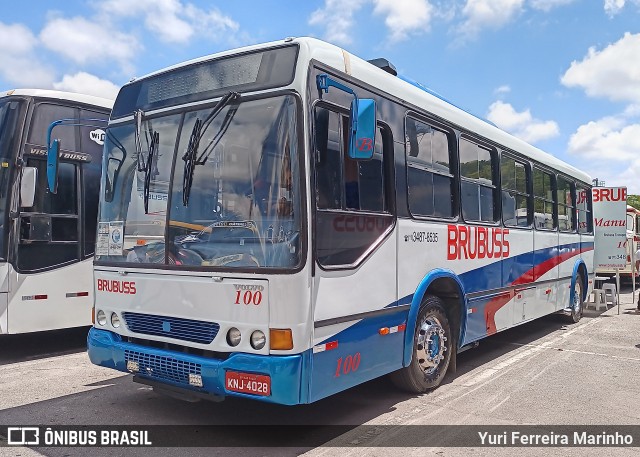 Brubuss Transportes 100 na cidade de Barueri, São Paulo, Brasil, por Yuri Ferreira Marinho. Número da foto: #12964520.