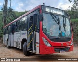 ANSAL - Auto Nossa Senhora de Aparecida 724 na cidade de Chácara, Minas Gerais, Brasil, por Antônio Carlos Rosário. Número da foto: #:id.