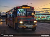 TLGSA - Transporte Loma Grande S.A. - Línea 132 > Transporte LomaGrandense S.A. 060 na cidade de Limpio, Central, Paraguai, por Eduardo Dodero. Número da foto: #12963446.