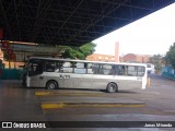VB Transportes e Turismo 32770 na cidade de Piracicaba, São Paulo, Brasil, por Jonas Miranda. Número da foto: #12963262.
