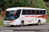 Viação Novo Horizonte 274 na cidade de Muriaé, Minas Gerais, Brasil, por Lucas Oliveira. Número da foto: #:id.