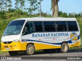 Bananas Nacional 1667 na cidade de Registro, São Paulo, Brasil, por Murilo da Silva. Número da foto: #12963057.