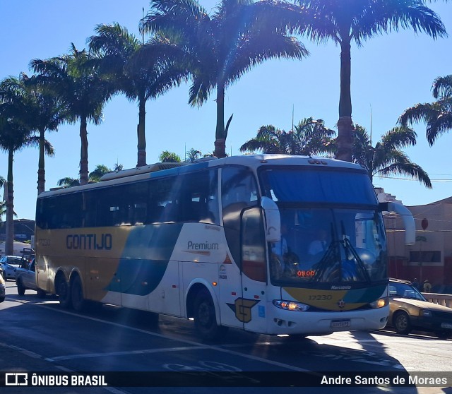 Empresa Gontijo de Transportes 17230 na cidade de Ribeirão Preto, São Paulo, Brasil, por Andre Santos de Moraes. Número da foto: #12966454.
