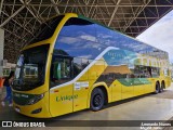 Empresa Gontijo de Transportes 23105 na cidade de Patos de Minas, Minas Gerais, Brasil, por Leonardo Nunes. Número da foto: #12966055.
