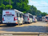 TTL S.A. - Transporte y Turismo Lambaré - Líneas 23-24-31 y 33 1636 na cidade de Lambaré, Central, Paraguai, por Eduardo Dodero. Número da foto: #:id.