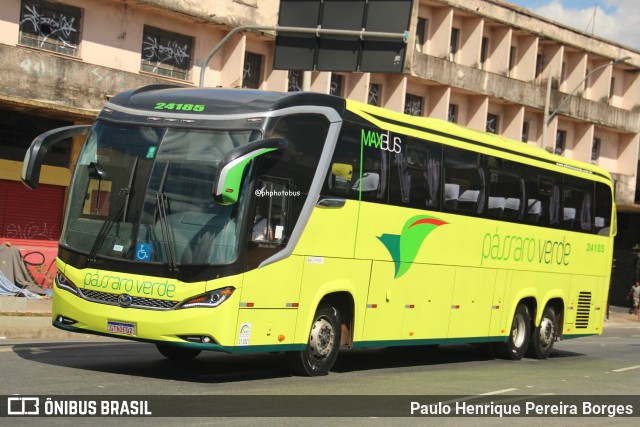 Pássaro Verde 24185 na cidade de Belo Horizonte, Minas Gerais, Brasil, por Paulo Henrique Pereira Borges. Número da foto: #12970365.