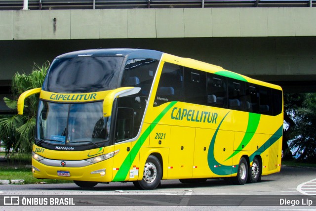 Capellitur 2021 na cidade de Florianópolis, Santa Catarina, Brasil, por Diego Lip. Número da foto: #12969716.