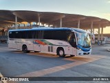 Expresso Palmares 5165 na cidade de Porto Alegre, Rio Grande do Sul, Brasil, por JULIO SILVA. Número da foto: #12970740.