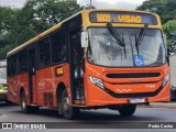 Transrosa 1702 na cidade de Lagoa Santa, Minas Gerais, Brasil, por Pedro Castro. Número da foto: #12969524.