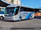 Coldebella Turismo 860 na cidade de Porto Alegre, Rio Grande do Sul, Brasil, por JULIO SILVA. Número da foto: #12969287.