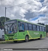 Setelagoano 1318 na cidade de Prudente de Morais, Minas Gerais, Brasil, por Bruno Guimarães. Número da foto: #12968629.