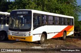 Ônibus Particulares 3153 na cidade de Itagimirim, Bahia, Brasil, por Flavio Rodrigues Silva. Número da foto: #:id.