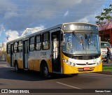 Empresa de Transportes Nova Marambaia AT-337 na cidade de Belém, Pará, Brasil, por Samara Goes. Número da foto: #12968652.