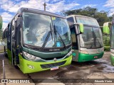 Turin Transportes 2499 na cidade de Ouro Branco, Minas Gerais, Brasil, por Eduardo Vieira. Número da foto: #12927276.