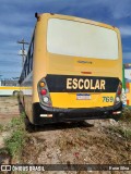 Sertão Turismo 769 na cidade de Muribeca, Sergipe, Brasil, por Rose Silva. Número da foto: #12929268.