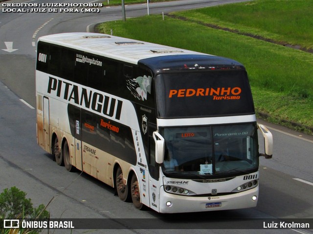 Pedrinho Transportes e Turismo 0011 na cidade de Juiz de Fora, Minas Gerais, Brasil, por Luiz Krolman. Número da foto: #12975498.
