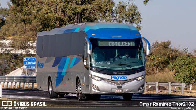 Pegasso 55193 na cidade de Álvaro Obregón, Michoacán, México, por Omar Ramírez Thor2102. Número da foto: #12975597.