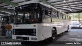 Cantelli Tur Agência de Viagens e Turismo 9301 na cidade de Brusque, Santa Catarina, Brasil, por Leonardo da Silva. Número da foto: #12974032.
