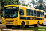 Prefeitura Municipal de Cafelândia 7996 na cidade de Cafelândia, Paraná, Brasil, por Flávio Oliveira. Número da foto: #12975530.