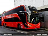 Catedral Turismo 23524 na cidade de Campinas, São Paulo, Brasil, por Raphael Malacarne. Número da foto: #:id.
