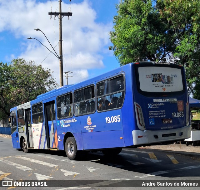 Transportes Capellini 19.085 na cidade de Campinas, São Paulo, Brasil, por Andre Santos de Moraes. Número da foto: #12975810.