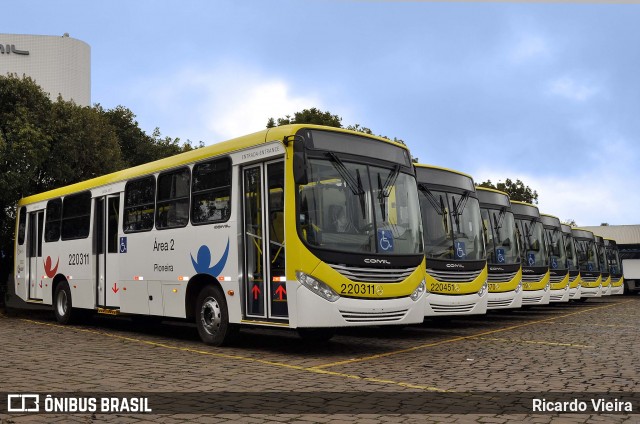 Viação Pioneira 220311 na cidade de Erechim, Rio Grande do Sul, Brasil, por Ricardo Vieira. Número da foto: #12975642.
