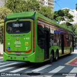 Himalaia Transportes > Ambiental Transportes Urbanos 4 1133 na cidade de São Paulo, São Paulo, Brasil, por Michel Nowacki. Número da foto: #12977248.