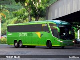 Pássaro Verde 16903 na cidade de Ponte Nova, Minas Gerais, Brasil, por Davi Neves. Número da foto: #12977278.