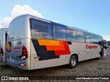 Transportes Capellini 53019 na cidade de Hortolândia, São Paulo, Brasil, por José Eduardo Garcia Pontual. Número da foto: #12975899.
