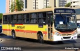 Integridade Transportes 2003-01 na cidade de Brasília, Distrito Federal, Brasil, por Richard Wagner. Número da foto: #12976127.