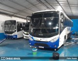 Trans Sarapo 0007 na cidade de Igarapé-Miri, Pará, Brasil, por Fabio Soares. Número da foto: #12977811.