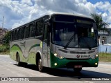 Turin Transportes 1360 na cidade de Conselheiro Lafaiete, Minas Gerais, Brasil, por Eduardo Vieira. Número da foto: #12976476.