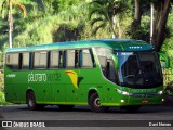 Pássaro Verde 11091 na cidade de Ponte Nova, Minas Gerais, Brasil, por Davi Neves. Número da foto: #12977269.