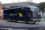 Pássaro Verde 16905 na cidade de Divinópolis, Minas Gerais, Brasil, por Diogo Viec. Número da foto: #12976567.