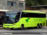 Pássaro Verde 24185 na cidade de Ponte Nova, Minas Gerais, Brasil, por Davi Neves. Número da foto: #12977274.