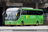 Pássaro Verde 23181 na cidade de Belo Horizonte, Minas Gerais, Brasil, por Eliziar Maciel Soares. Número da foto: #:id.