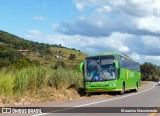 Pássaro Verde 29013 na cidade de Itabirito, Minas Gerais, Brasil, por Maurício Nascimento. Número da foto: #12976461.