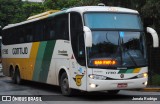 Empresa Gontijo de Transportes 17310 na cidade de São Paulo, São Paulo, Brasil, por Jonata Rodrigo. Número da foto: #12975973.