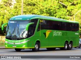 Pássaro Verde 16902 na cidade de Ponte Nova, Minas Gerais, Brasil, por Davi Neves. Número da foto: #12977290.