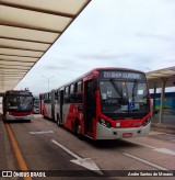Itajaí Transportes Coletivos 2049 na cidade de Campinas, São Paulo, Brasil, por Andre Santos de Moraes. Número da foto: #12975806.