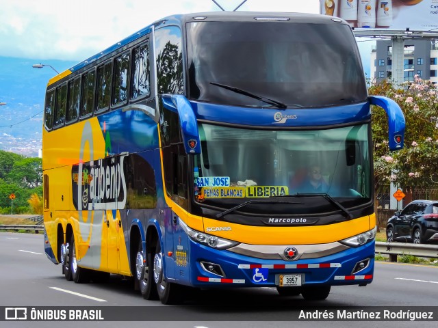 Caribeños 00 na cidade de Mata Redonda, San José, San José, Costa Rica, por Andrés Martínez Rodríguez. Número da foto: #12979770.
