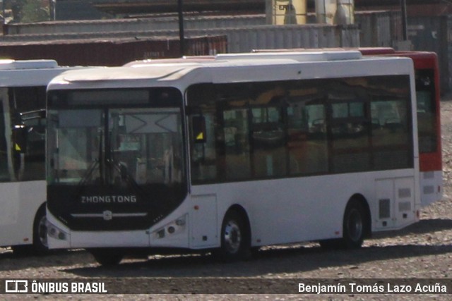 Stock ZHONGTONG LCK6950G na cidade de Lampa, Chacabuco, Metropolitana de Santiago, Chile, por Benjamín Tomás Lazo Acuña. Número da foto: #12978122.