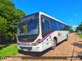 TTL S.A. - Transporte y Turismo Lambaré - Líneas 23-24-31 y 33 1607 na cidade de Limpio, Central, Paraguai, por Eduardo Dodero. Número da foto: #12977997.