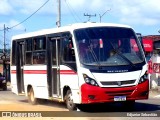 Ônibus Particulares 7D30 na cidade de Paudalho, Pernambuco, Brasil, por Edjunior Sebastião. Número da foto: #12981030.