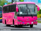 BIUSA 67 na cidade de Mata Redonda, San José, San José, Costa Rica, por Andrés Martínez Rodríguez. Número da foto: #12979757.